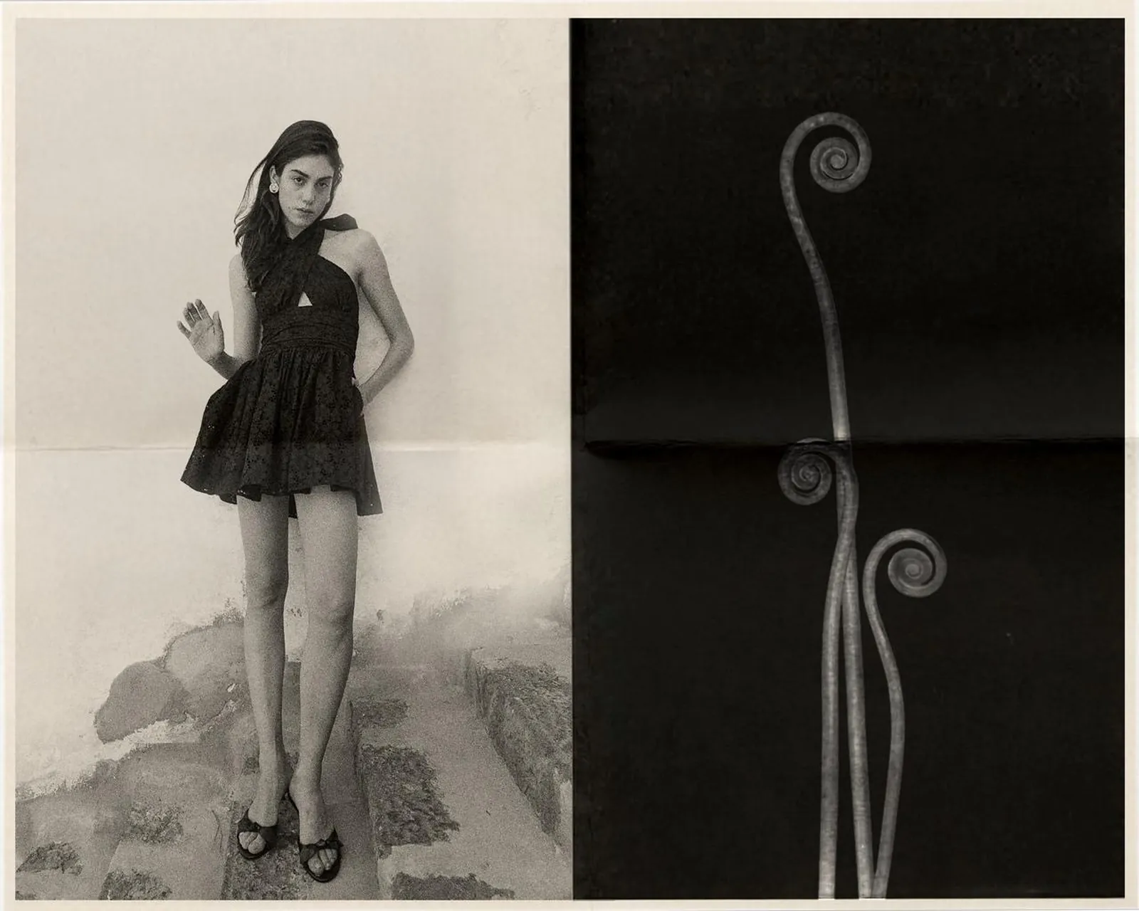 CantoDodici_Work_BiancaCedrone_5