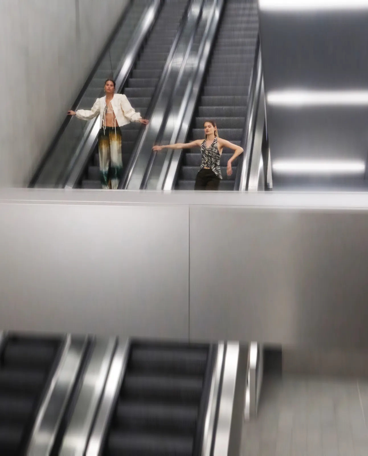 GiglioTigrato24_Work_BiancaCedrone_3