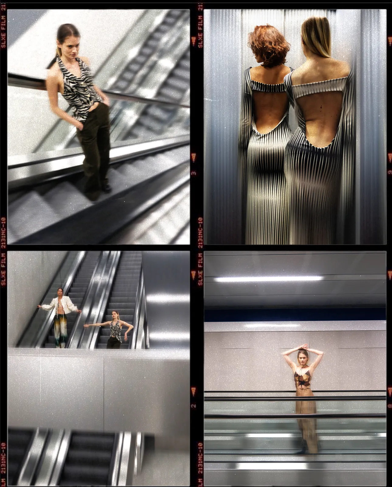 GiglioTigrato24_Work_BiancaCedrone_4