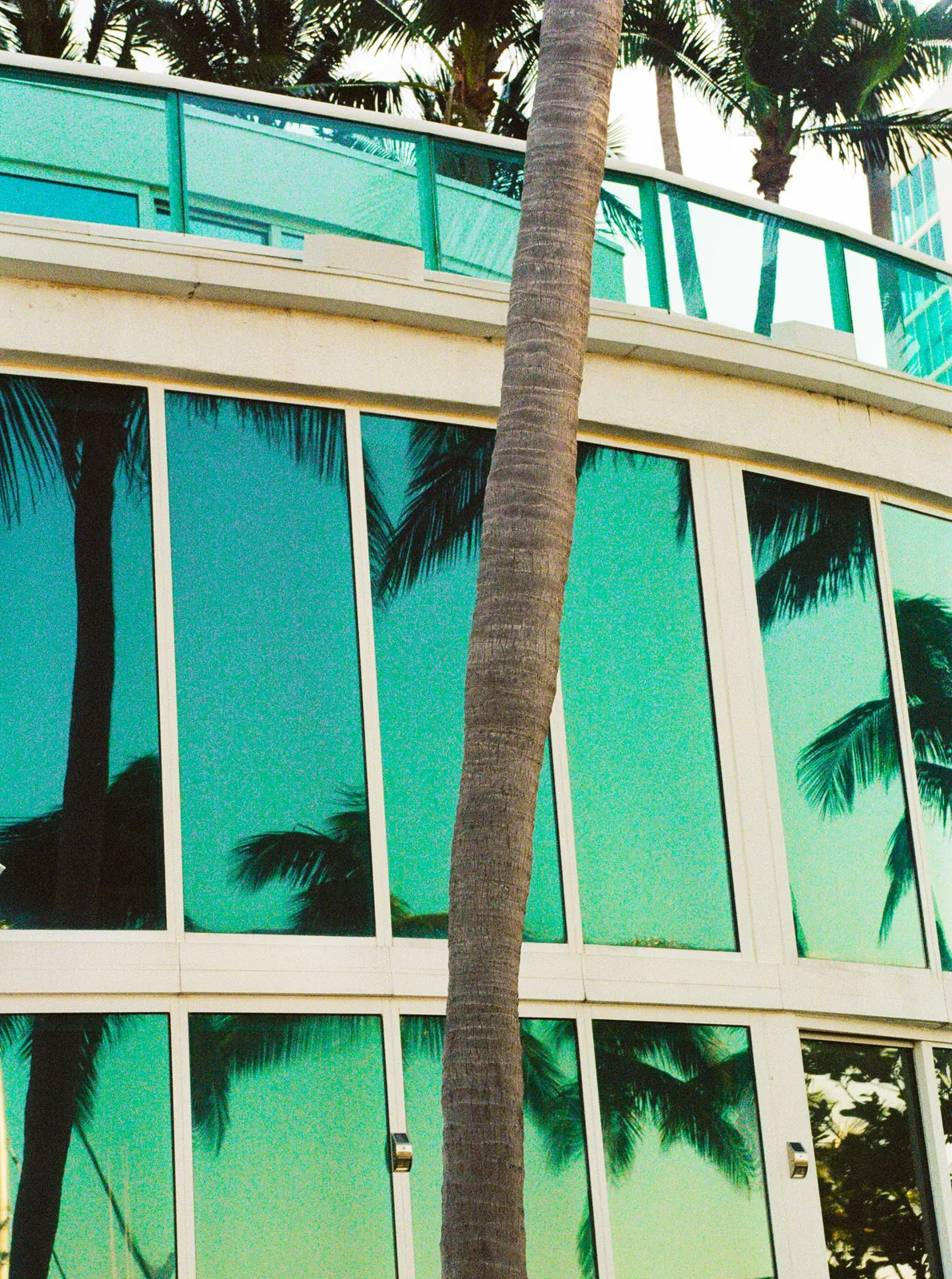 Personal_Work_BiancaCedrone_07