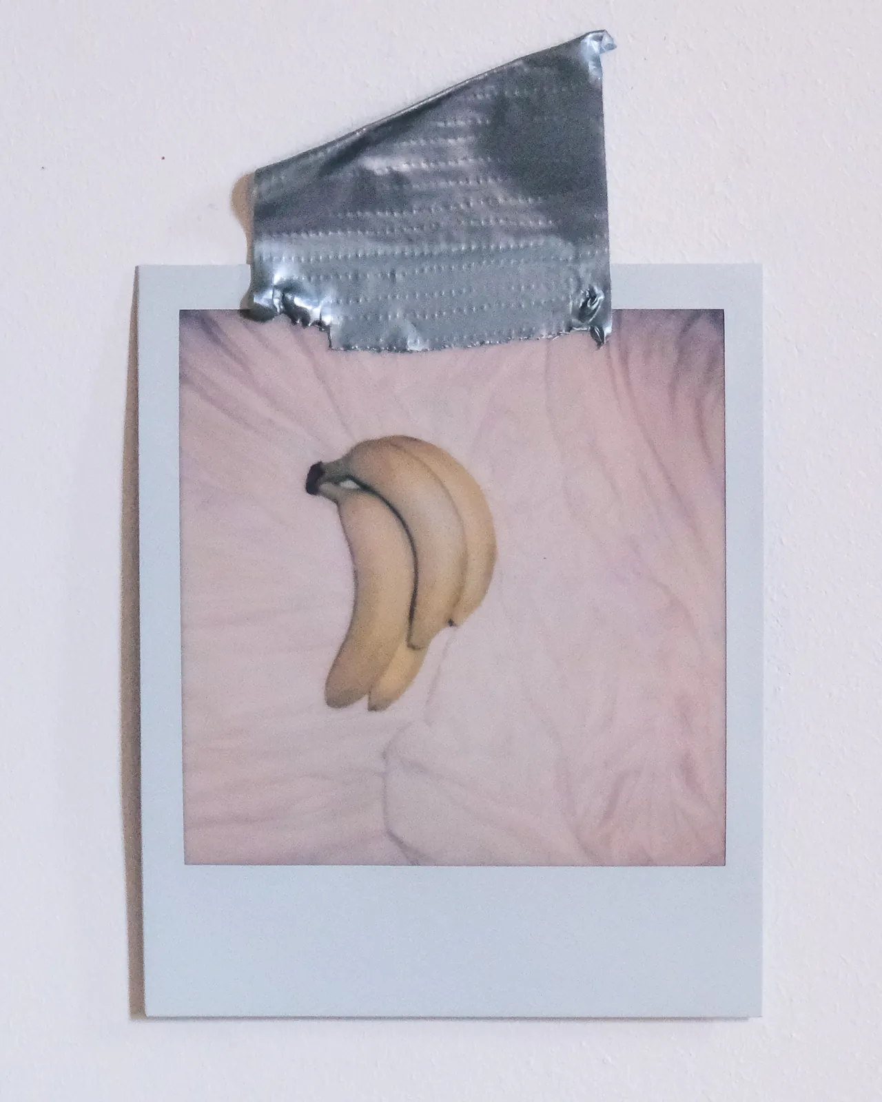 PomonaApparel_Work_BiancaCedrone_5