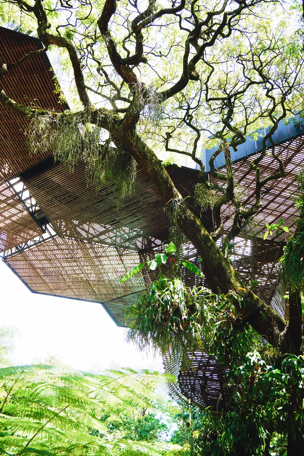 WynwoodMagazine_Work_BiancaCedrone_1