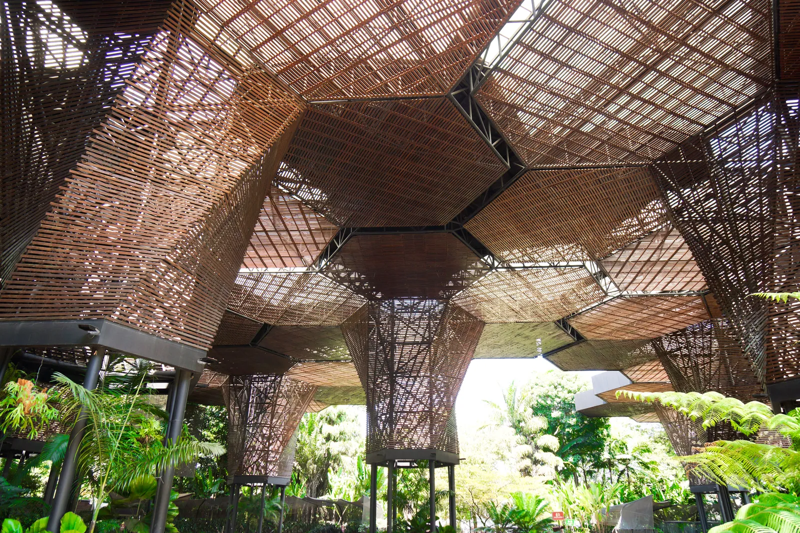 WynwoodMagazine_Work_BiancaCedrone_8