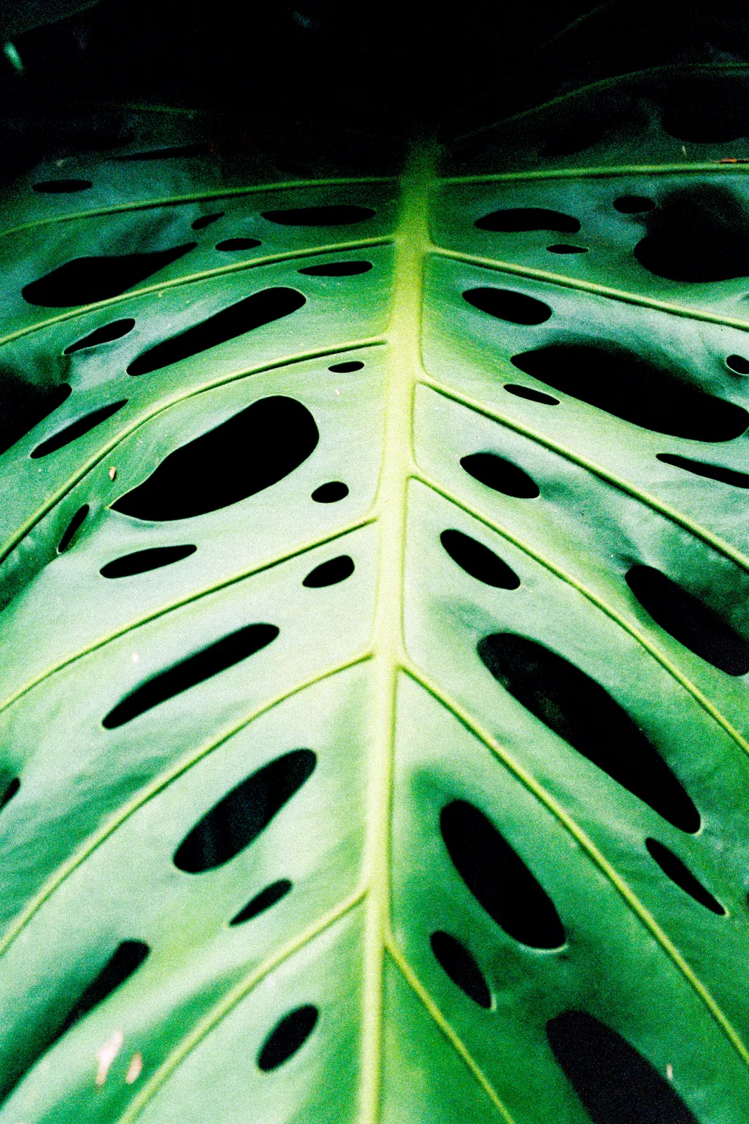 WynwoodMagazine_Work_BiancaCedrone_9