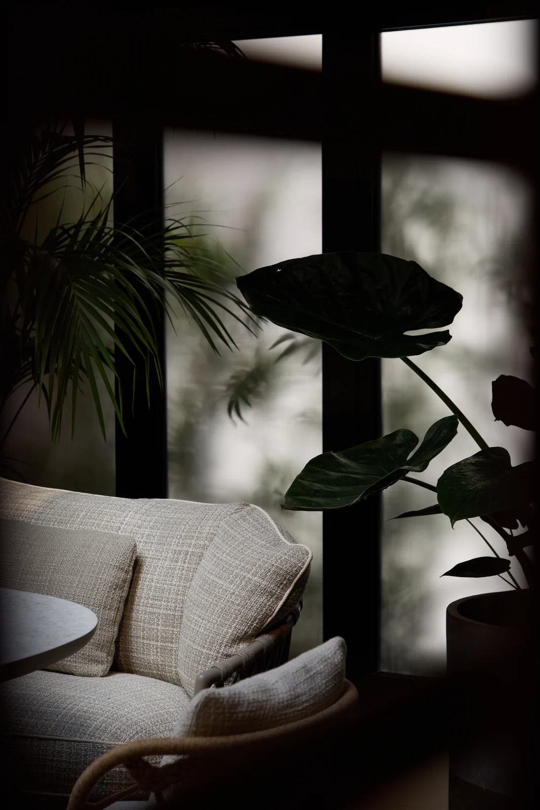 BB_Work_BiancaCedrone_1