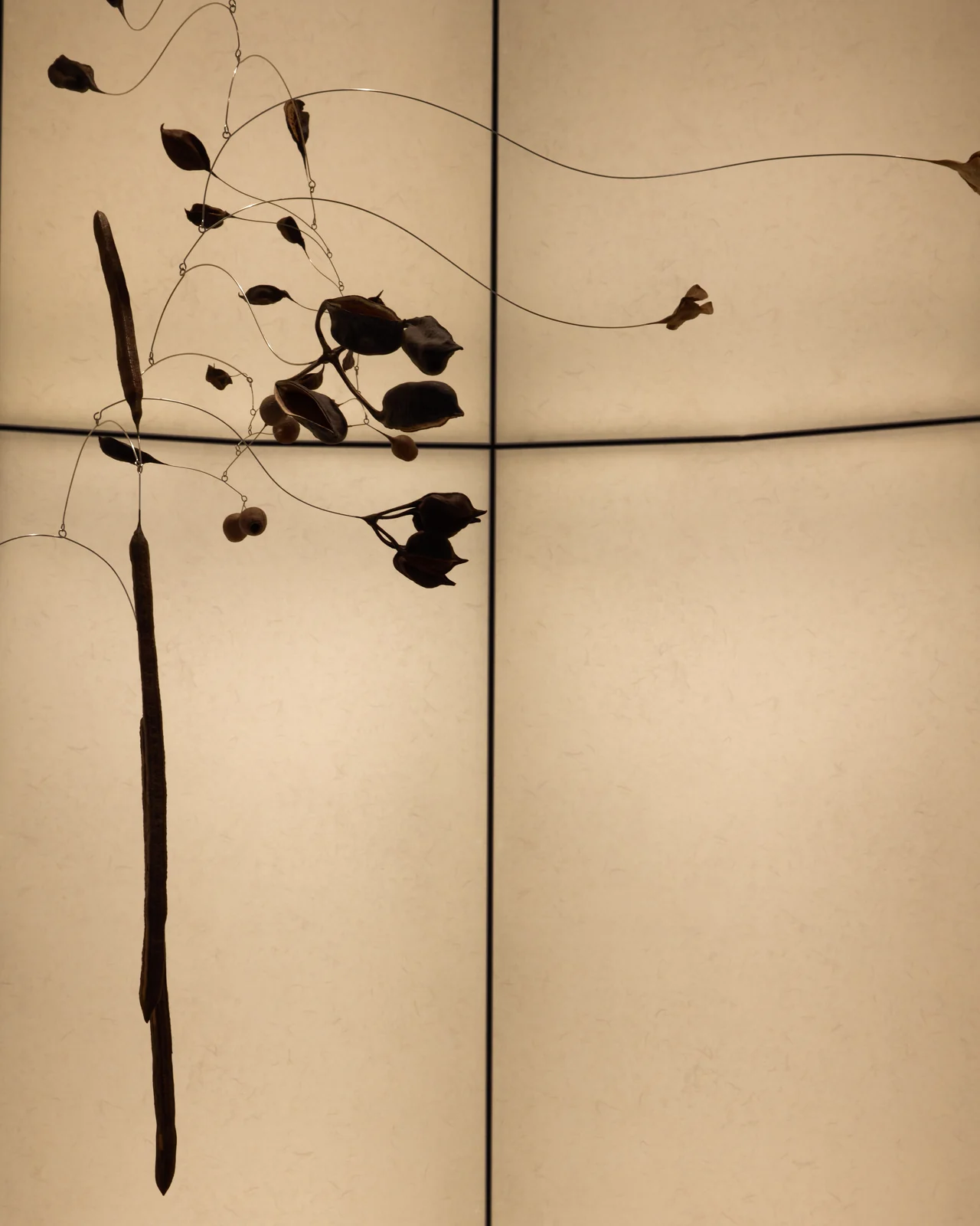 BB_Work_BiancaCedrone_8