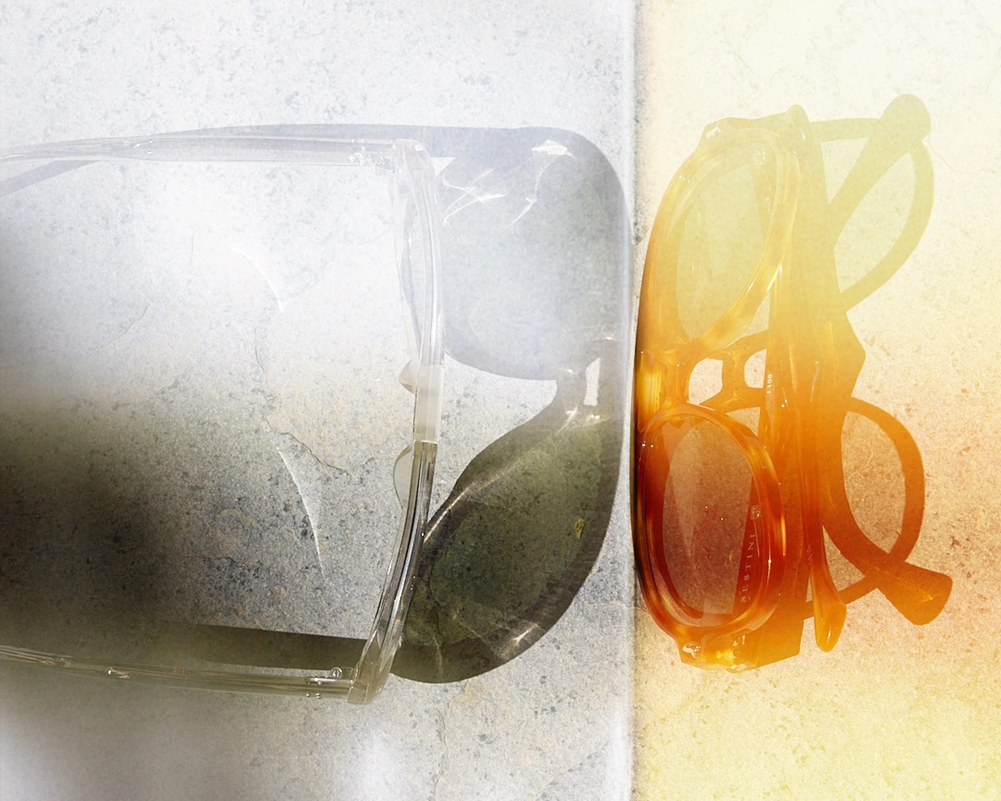 Homepage_BiancaCedrone_Hero_1