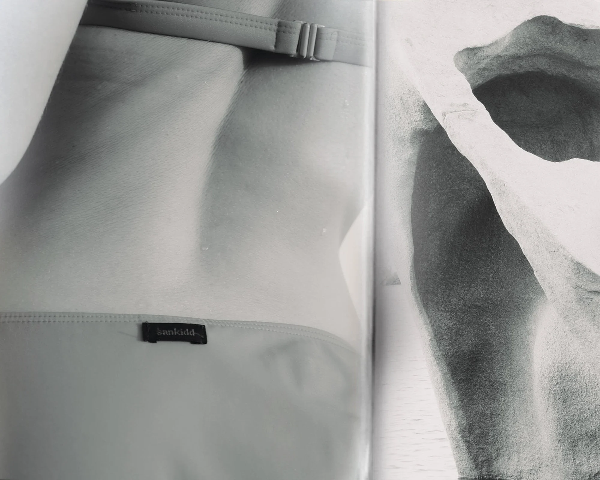 Homepage_BiancaCedrone_Hero_10