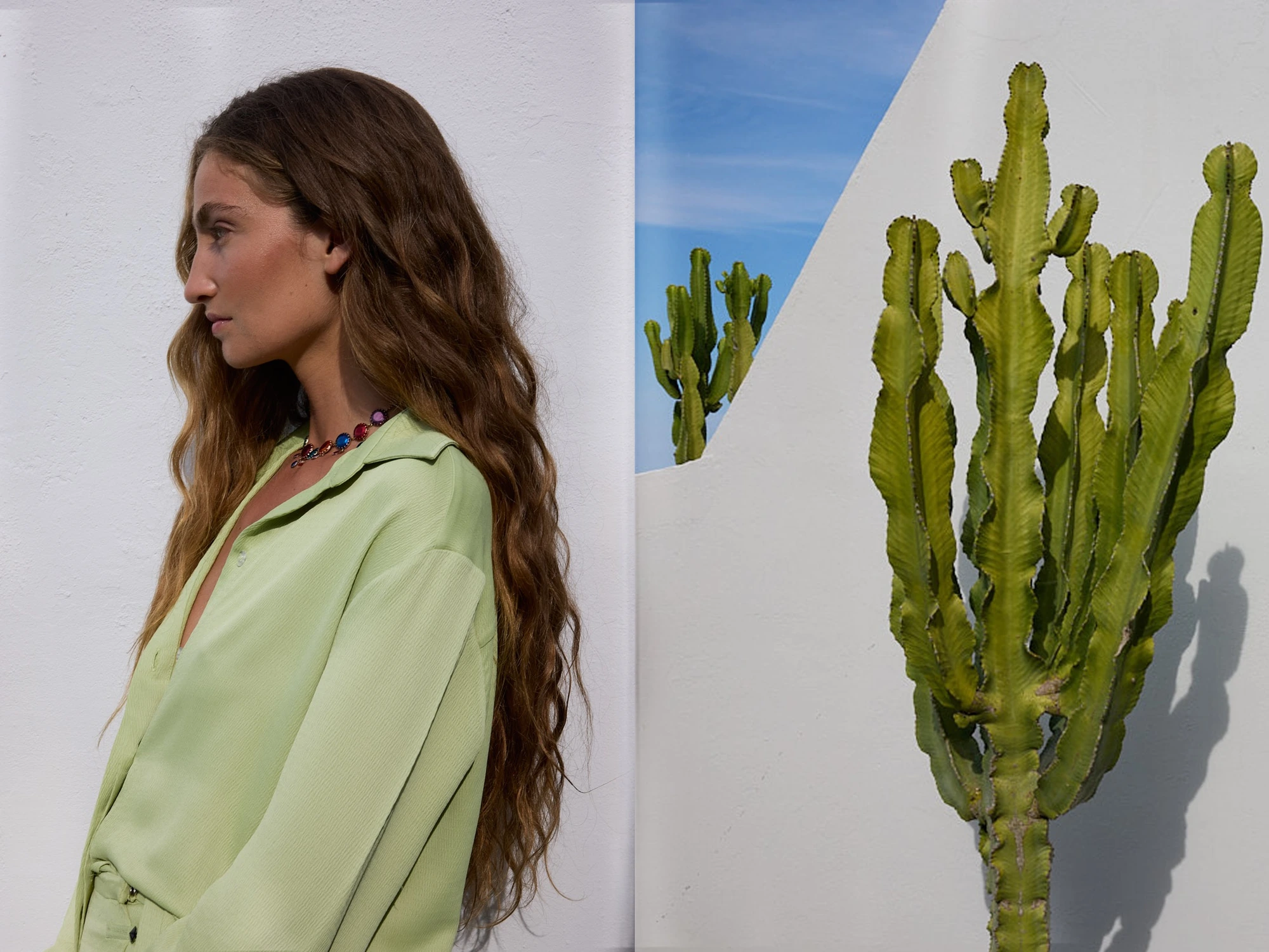 Homepage_BiancaCedrone_Hero_12