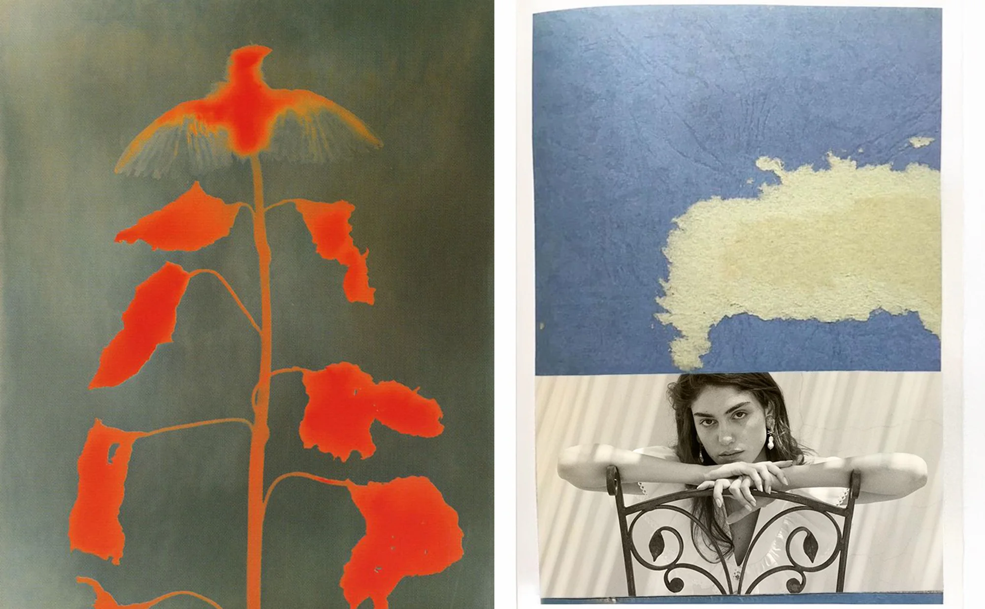 Homepage_BiancaCedrone_Hero_35