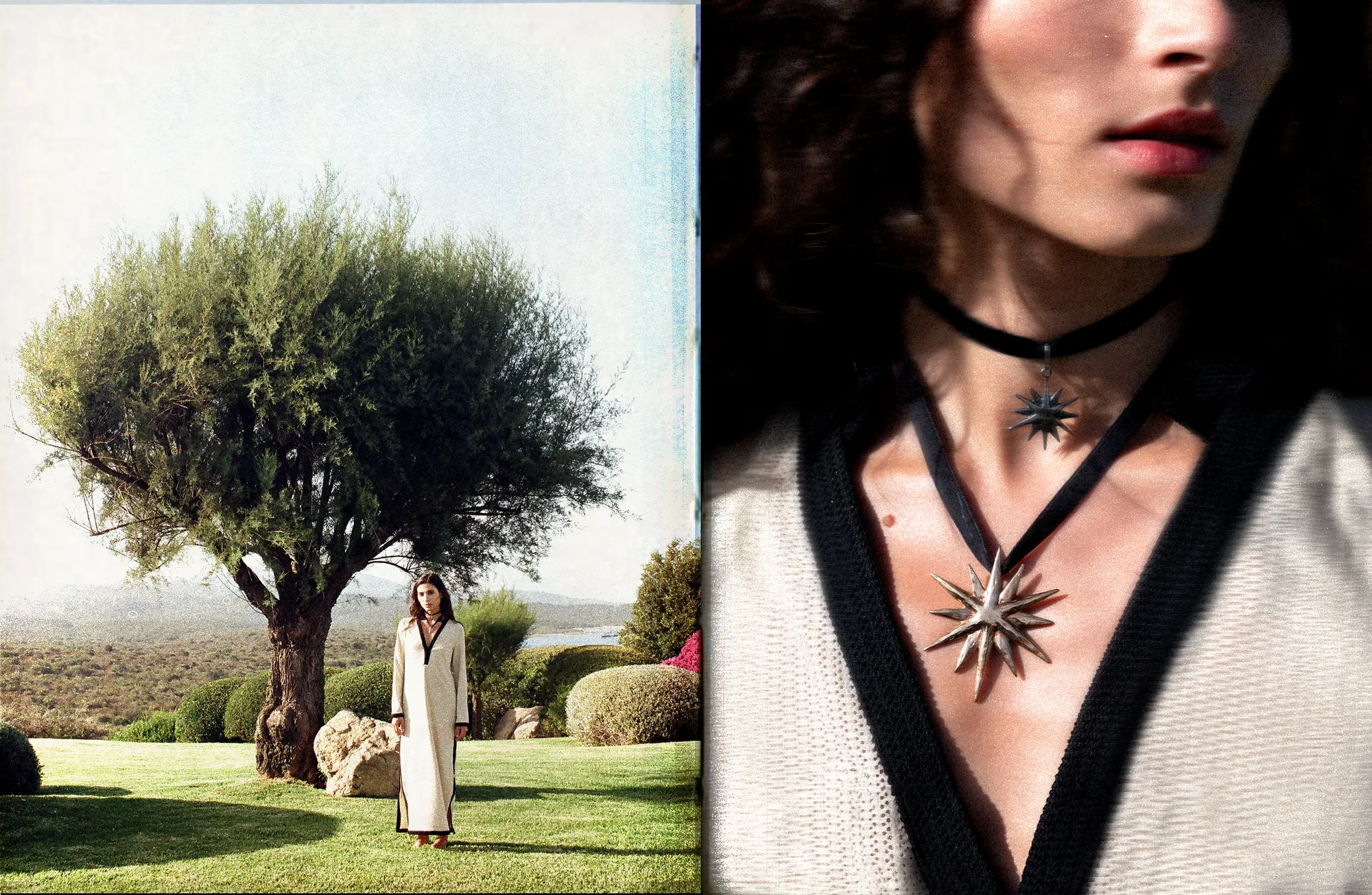 Homepage_BiancaCedrone_Hero_44