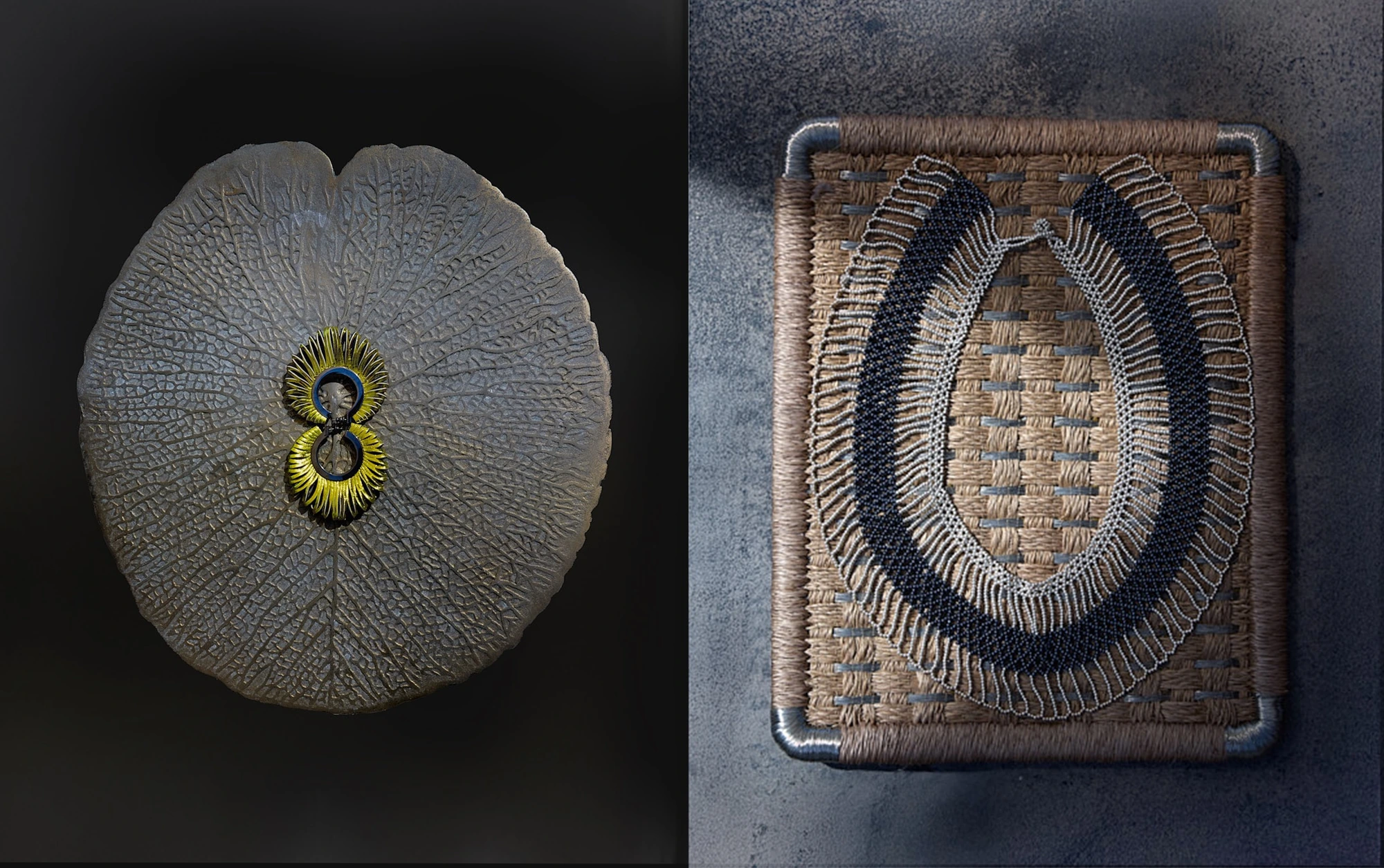 Homepage_BiancaCedrone_Hero_8