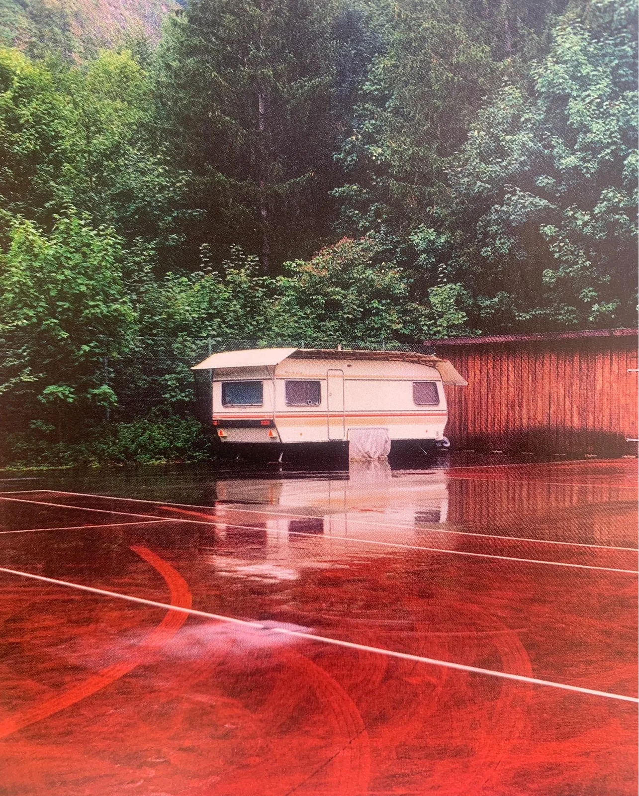 Homepage_Mobile_BiancaCedrone_3