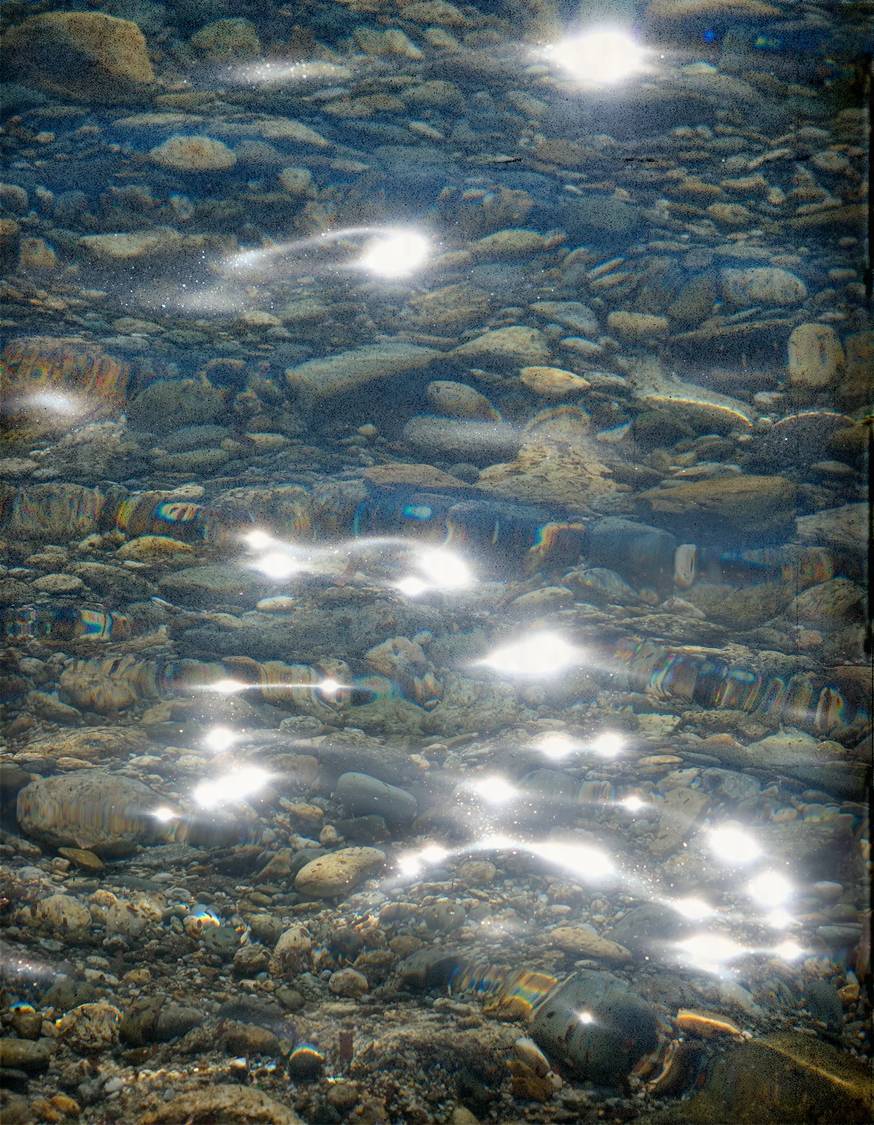 Homepage_Mobile_BiancaCedrone_7